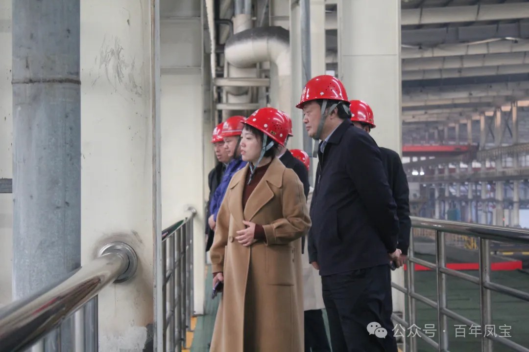 陈佳到开云网_开云网(中国)调研