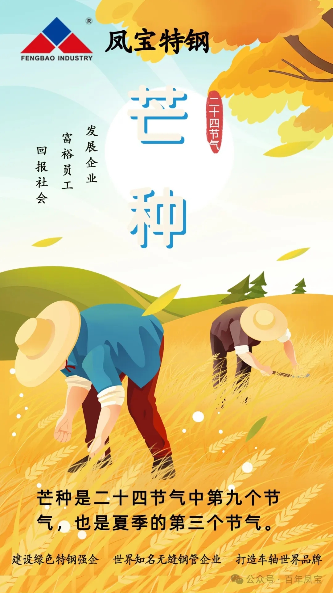 二十四节气|芒种