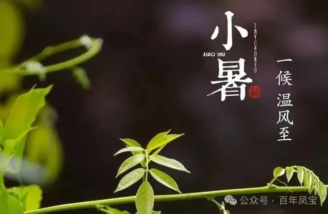 02.webp.jpg 02.webp.jpg