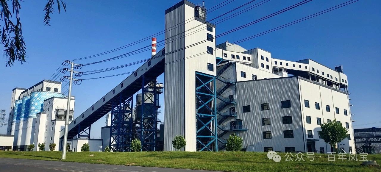 宋争辉到开云网_开云网(中国)集团调研