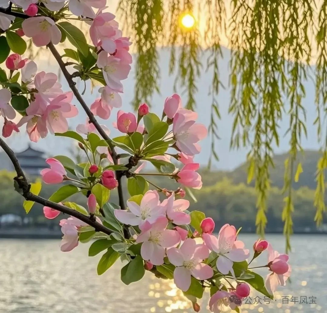 二十四节气｜春分